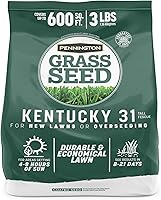 Vista 12 de Pennington Kentucky 31 Semilla de Césped Festuca Alta Penkoted 7 lb