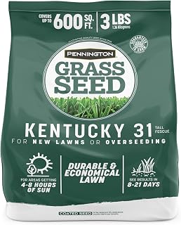 Pennington Kentucky 31 Tall Fescue Penkoted Grass Seed 3 lb - Drought-Resistant, Low-Maintenance Lawn Grass for Sun & Shade