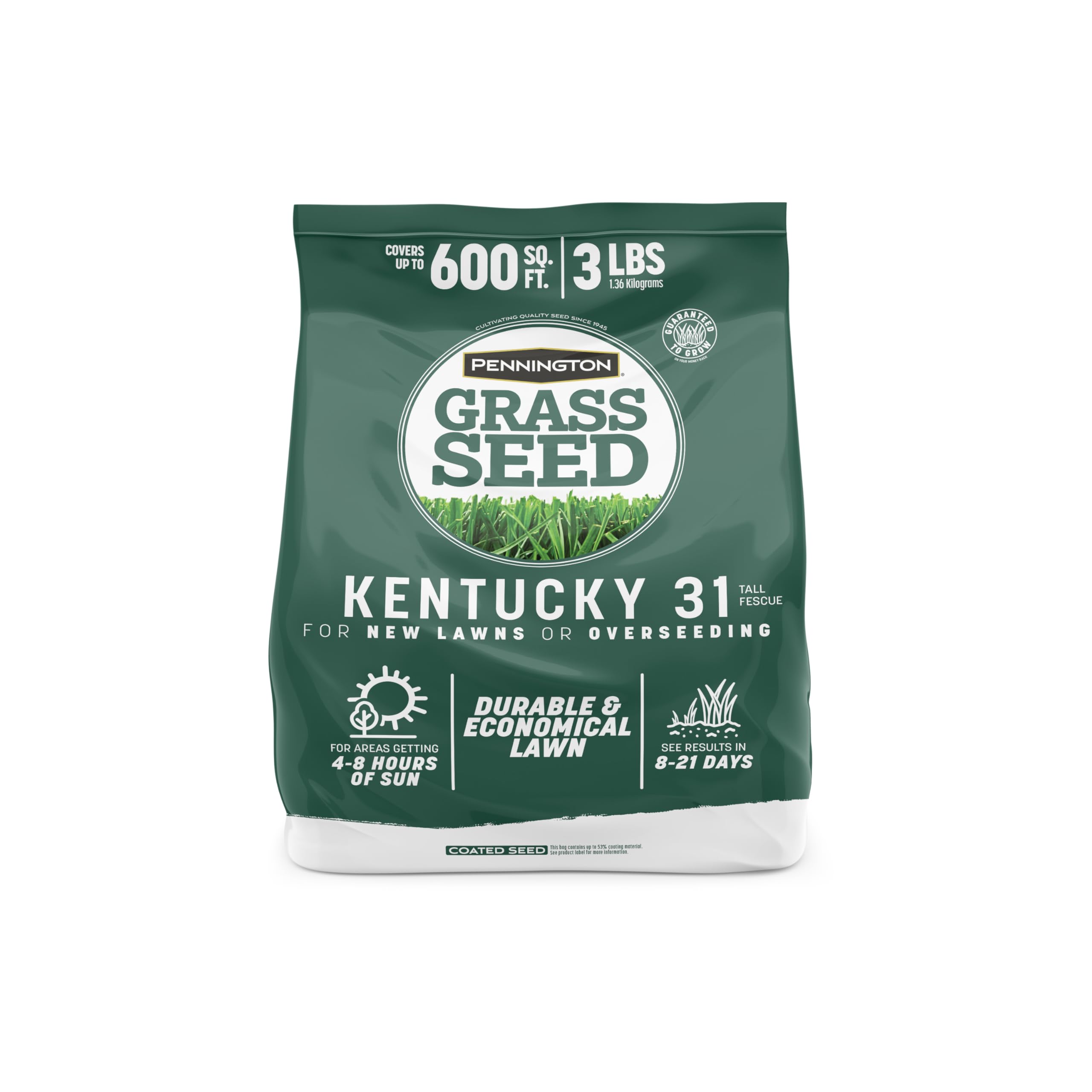 Pennington Kentucky 31 Tall Fescue Penkoted Grass Seed 3 lb