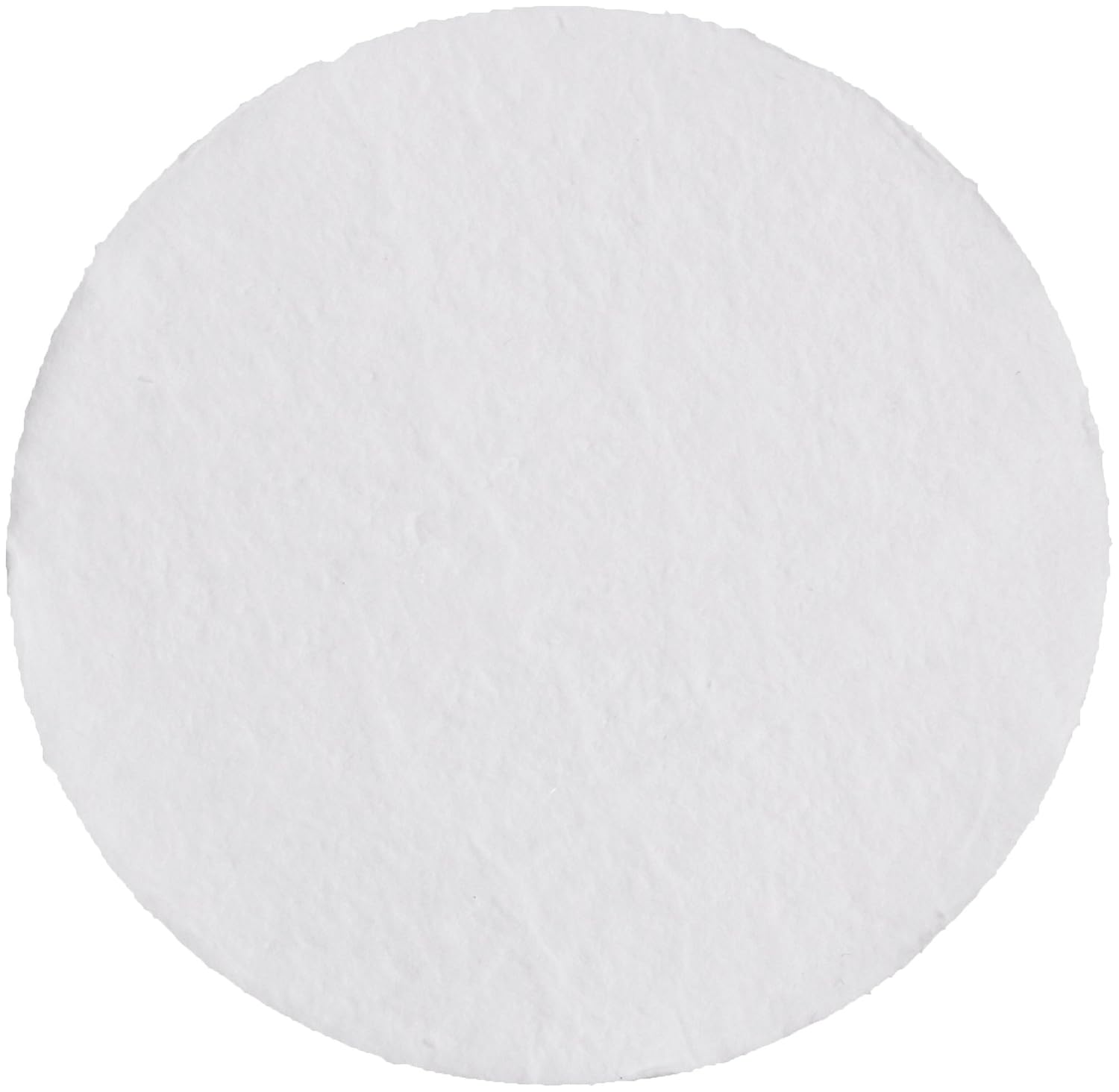 Whatman 1820047 Glass Microfiber Binder Free Filter, 1.6 Micron, 4.3 s