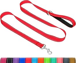 Taglory Reflective Dog Leash with Padded Handle and Metal Hook, Durable Nylon Dog Training Lead, 4ft x 0.79", Red