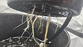 Review Image by Cyril Mekhail Cyril Mekhail