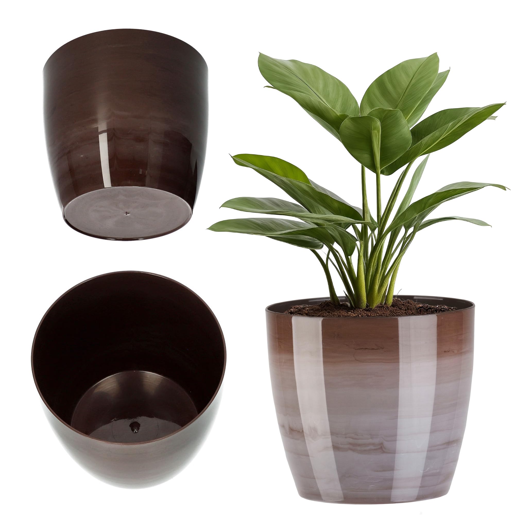 KADAX Maceta con Plato y Plato para Cactus, helechos (30 cm, Rosa) — view 17