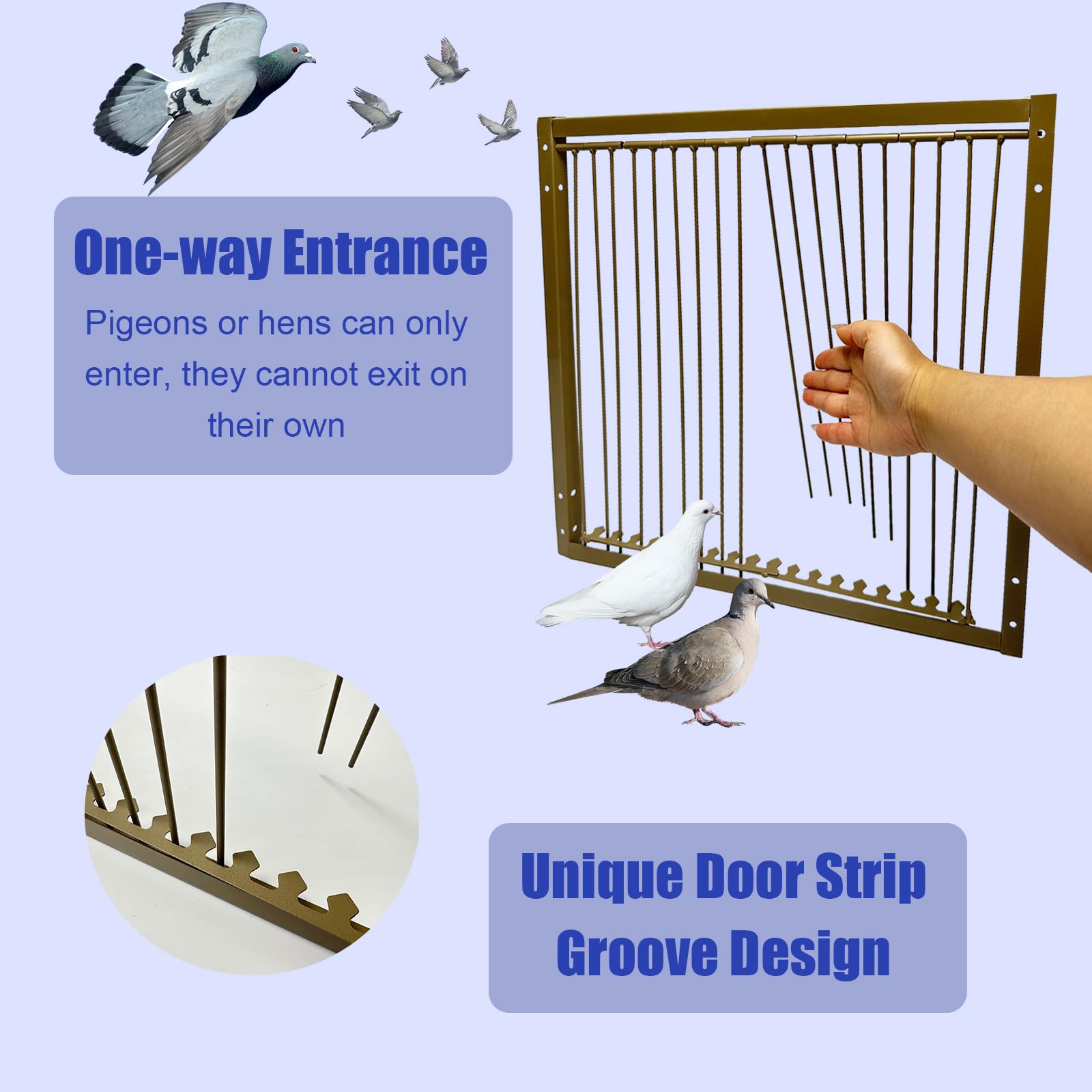 Jaula de trampa para pollos y palomas de 15 pulgadas de alto, jaula de trampa para animales pequeños con diseño a prueba de escape para pájaros, pavos, palomas (23.6 pulgadas de largo x 15.7 pulgadas