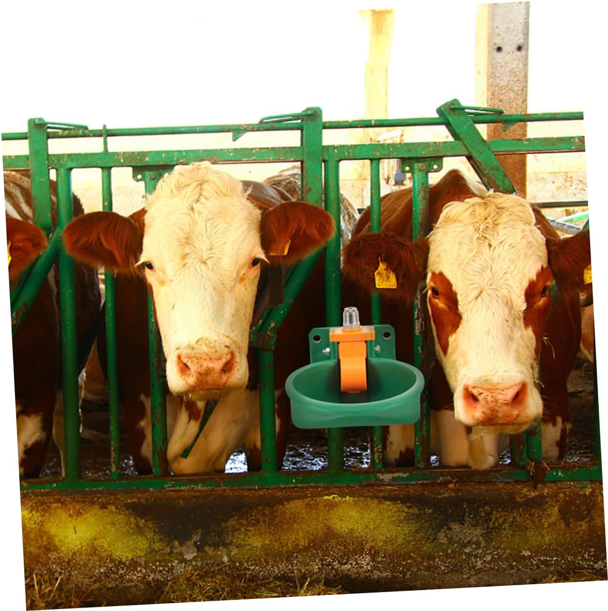 Toyvian 2pcs Automatic Farm Animal Waterer Sheep Water Bowls Plastic Livestock Water Trough Goat Cattle Sheep Bowl Barn Animal