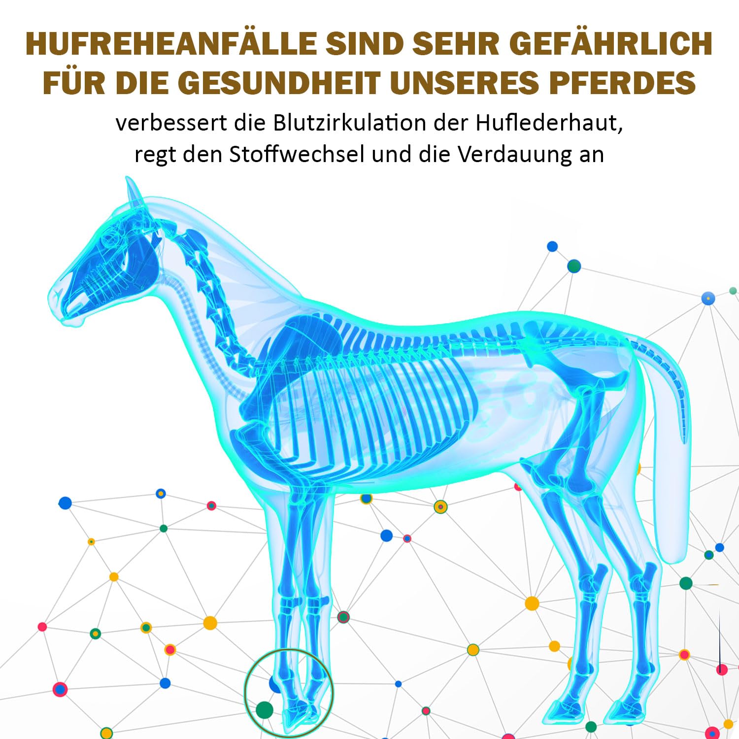 V-POINT REHE Plus bei akuten Hufrehe-Schüben zur Vorbeugung fördert Durchblutung der Huflederhaut - Hagebuttenpulver Mariendistel Spirulina (450 g)