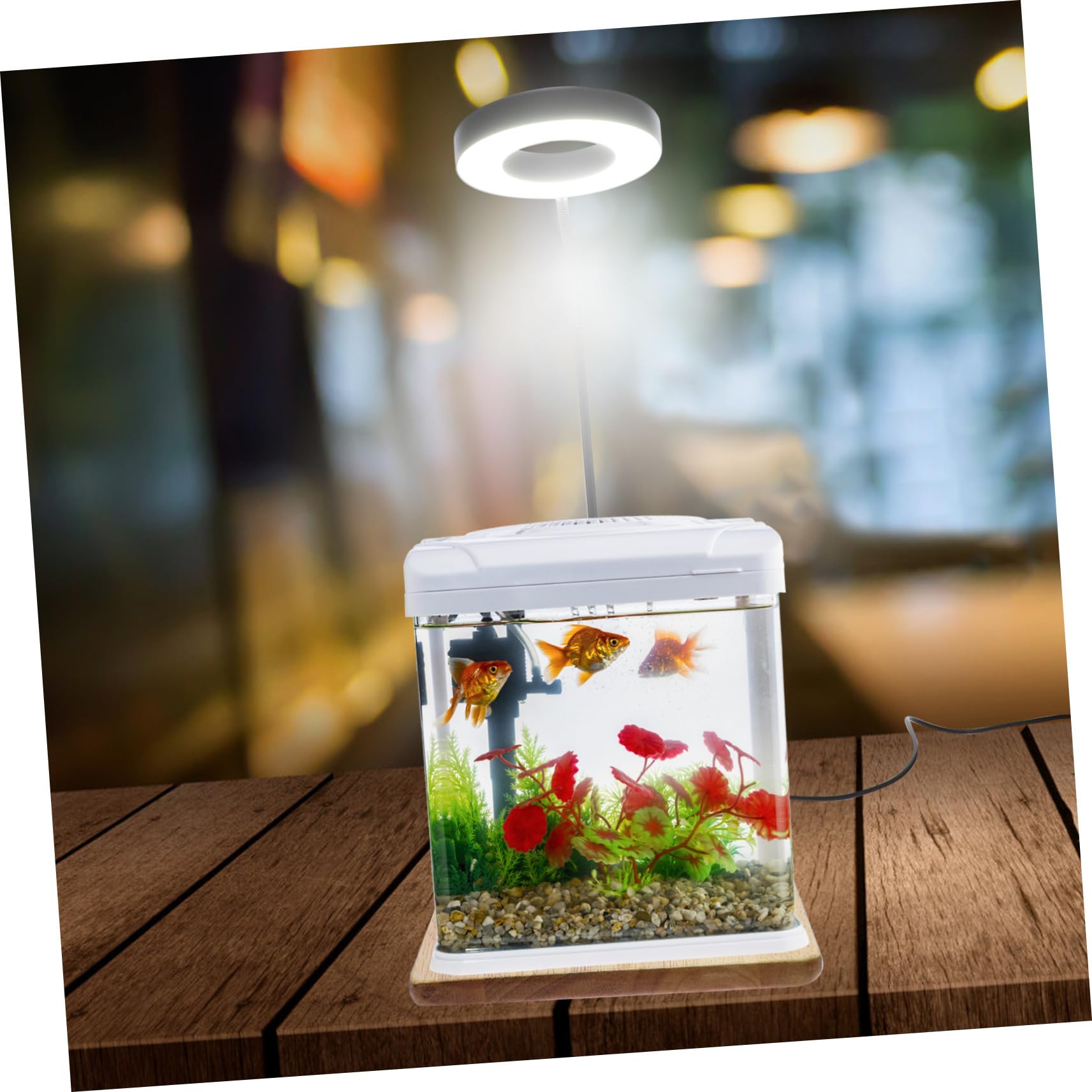 Luz LED para Acuario y Pecera, Iluminación Acuática Interruptor