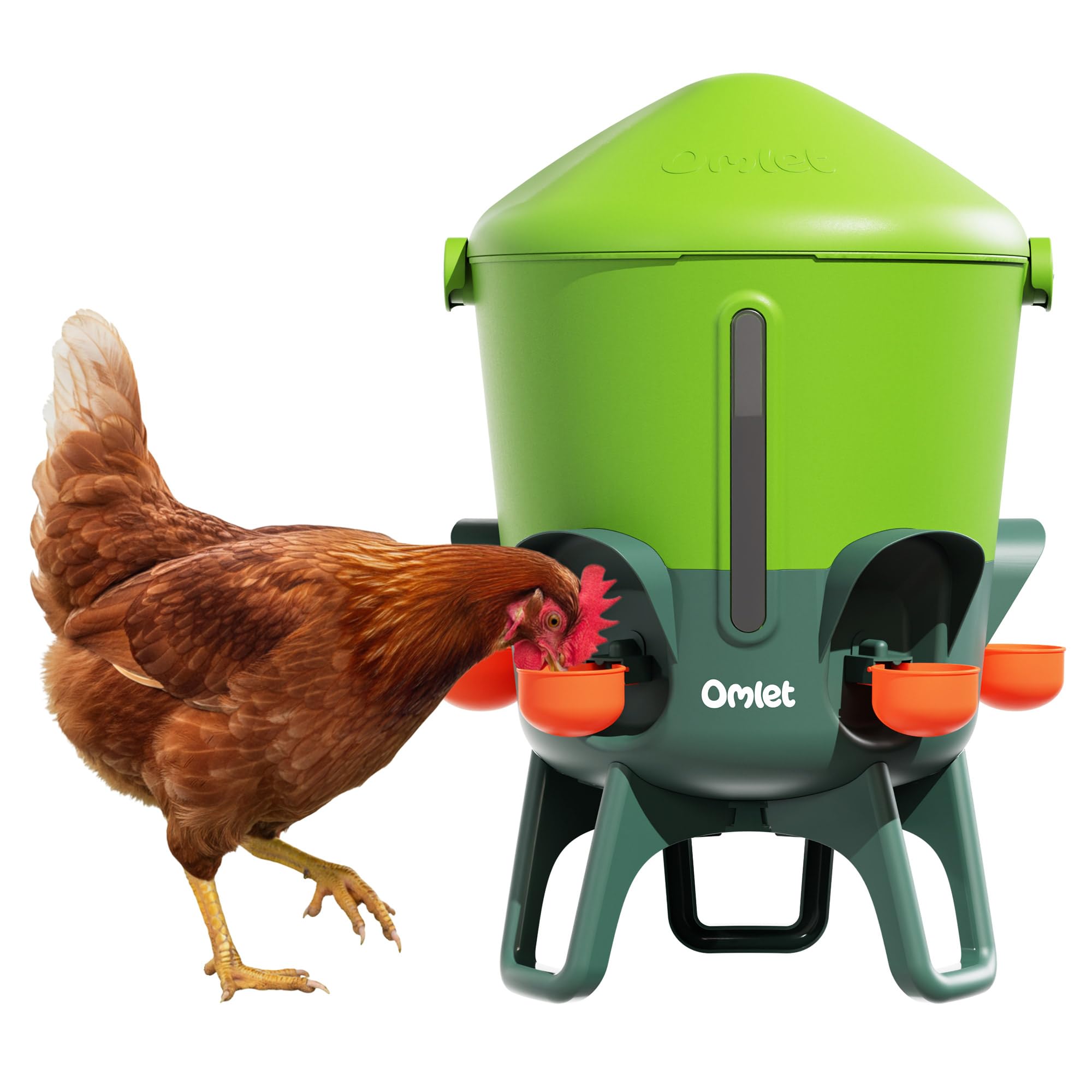 Omlet Irrigatore termico per polli, 3 galloni, dispenser automatico di acqua per polli, senza BPA, coperchio a cupola anti-rottura, include 5 tazze e capezzoli, verde Eglu