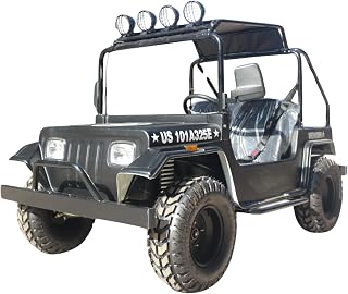 Mini Trail Rider 3000W Electric Golf Kart | 60V 32Ah Battery | Automatic Transmission (Black)