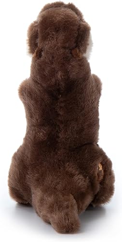 Miniatura 3 de The Petting Zoo Animal de peluche de nutria de río, regalos para niños, animales salvajes del zoológico Onez, juguete de peluche de nutria de río de