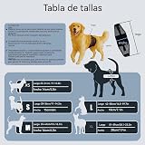 Ver la foto 2