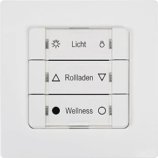 DuoFern Mehrfachwandtaster BAT 9494-1