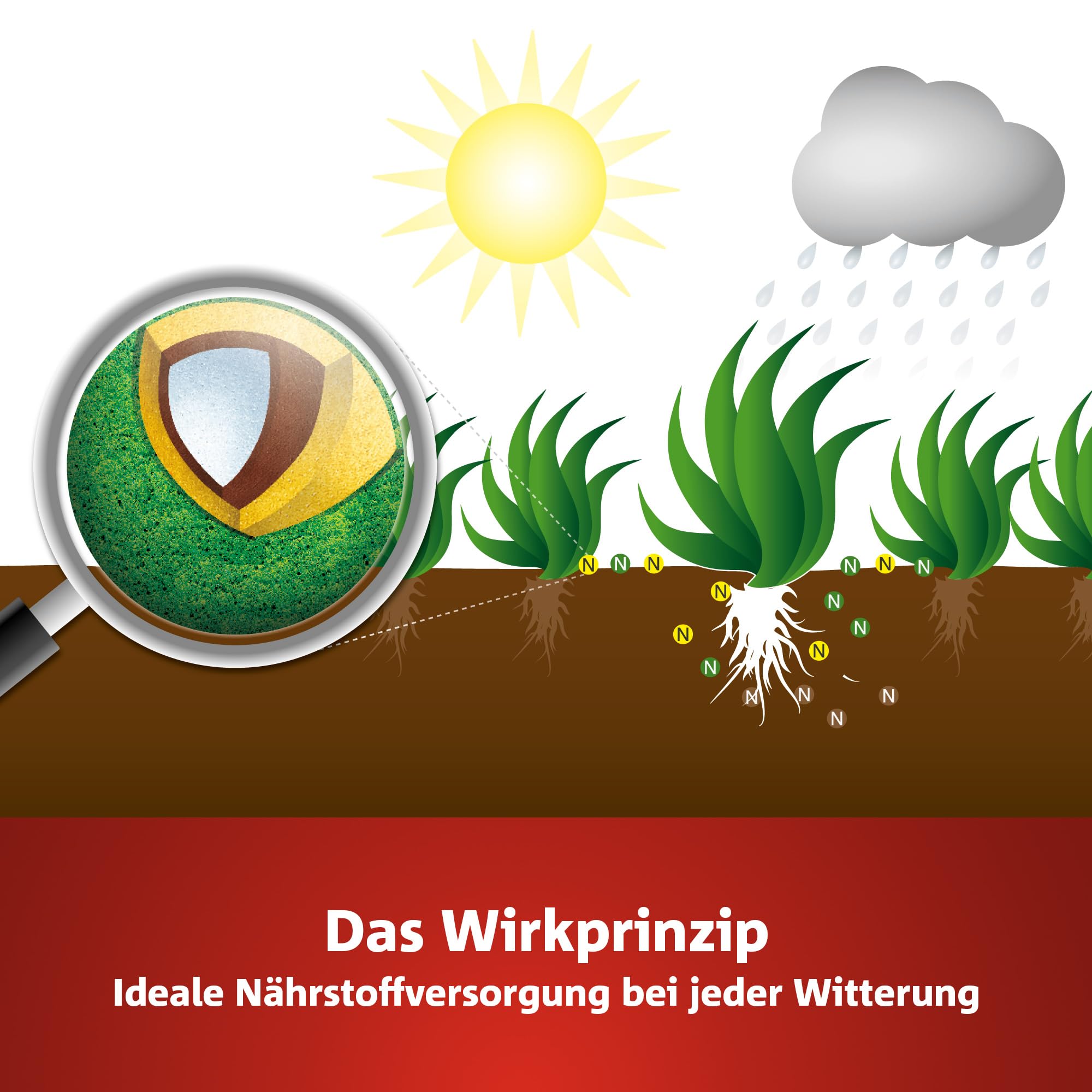 WOLF-GARTEN Premium Rasen-Langzeitdünger LE 450 120 Tage 450 m2