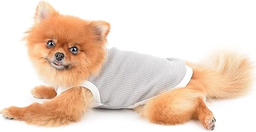 Miniatura 18 de SMALLLEE_LUCKY_STORE Linda camiseta de punto gofre con oso para cachorros, para perros pequeños y medianos, gatos, niños y niñas, camiseta elástica