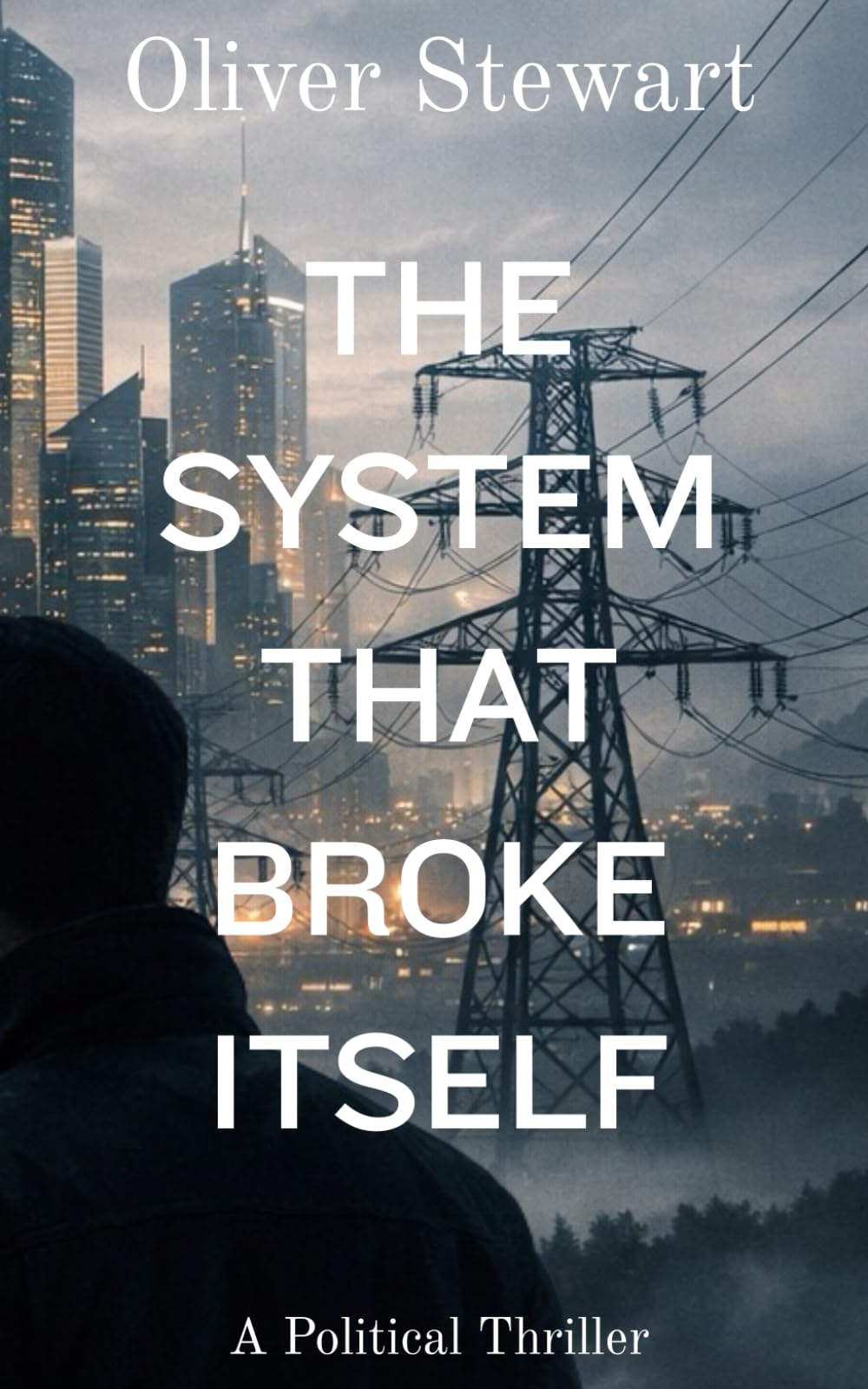The System That Broke Itself: A Political Thriller