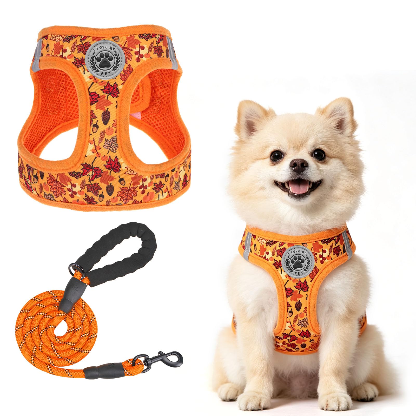 BEAUTYZOO Small Dog Harness and Leash Set,Step in No Choke No Pull Soft Mesh Dog Harnesses Reflective for Extra Small Medium Puppy Dogs and Cats,?Autumn S โ image 1