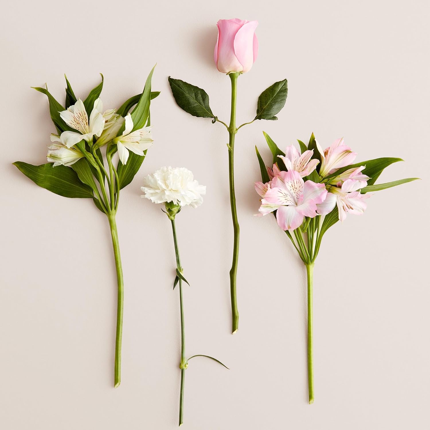 1800 Flowers – Cherished Blooms Single Bouquet (Bouquet Only) | Fresh Cut Spring Flowers for Delivery | Gift for Mother's Day, Anniversary, Sympathy, and Special Occasions