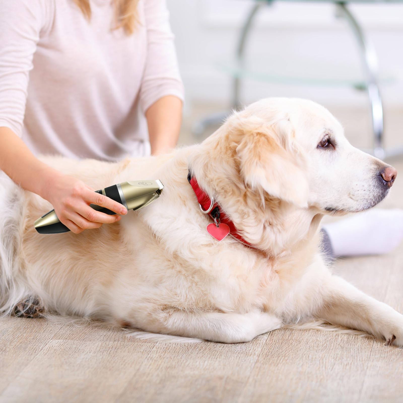 FrutPunch Kit de aseo para perros, cortapelos inalámbrico para perros, afeitado eléctrico, recortador de pelo para perros recargable de bajo ruido, con cabezal de afeitado para patas, adecuado para ga