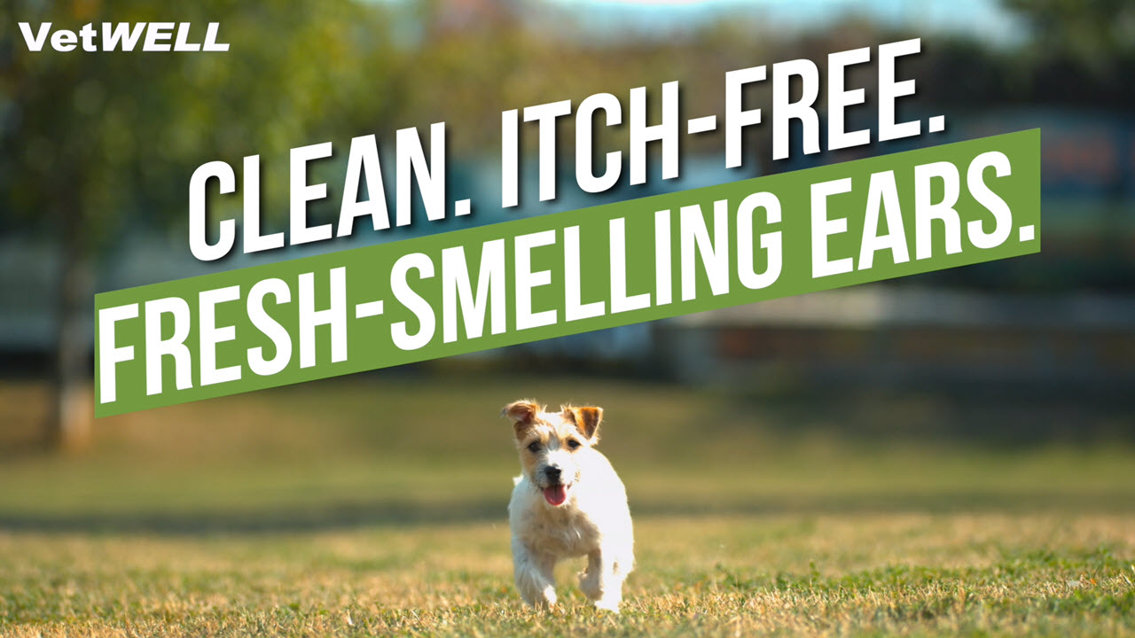 VetWELL Ear Cleaner for Dogs and Cats Otic Rinse for Infections and Controlling Ear Infections