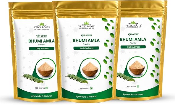 Bhumi Amla Powder/Churn - Organic and Pure Ingredient Extract for Healthy Liver Functioning and Digestive Strength Enriched with Essential Nutrients