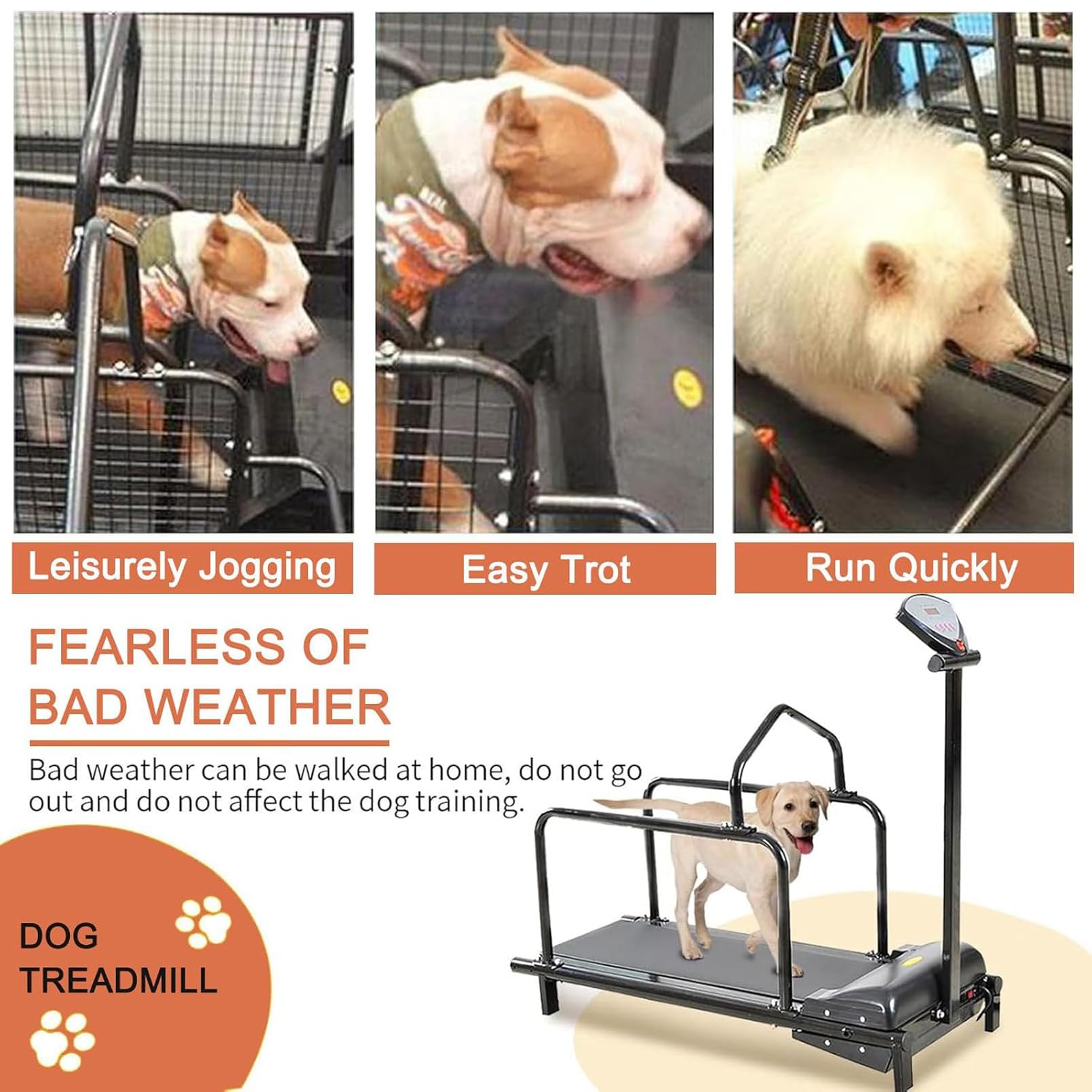 Cinta de correr para perros de interior con pantalla LCD, máquina de correr silenciosa para perros pequeños y medianos, ejercicio de fitness