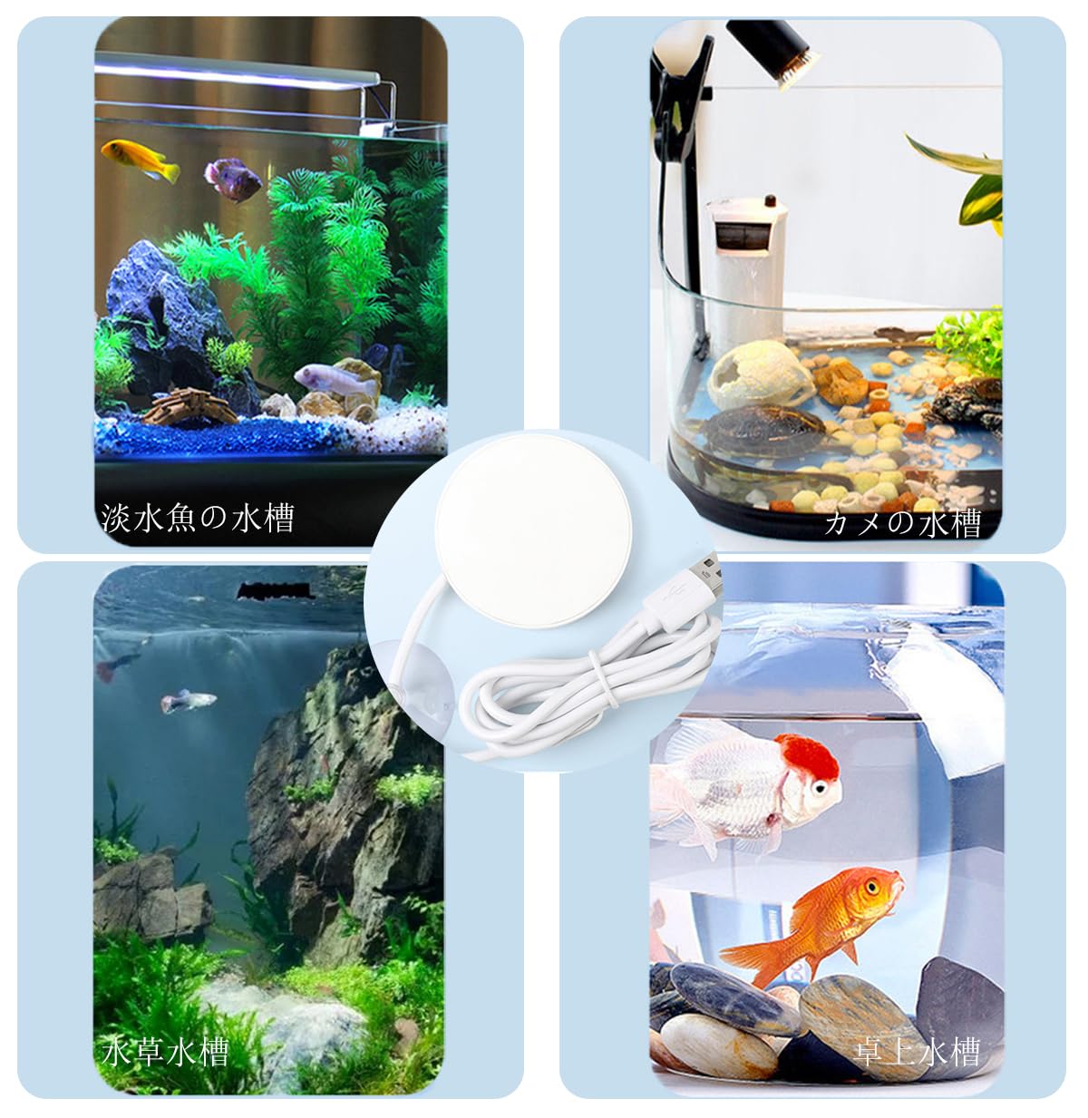 魚水槽用 水温計 天然彩り草2個 ヒーター クリーンバイオ 5点セット 魚水槽用 水温計 天然彩り草2個 ヒーター クリーンバイオ 5点セット