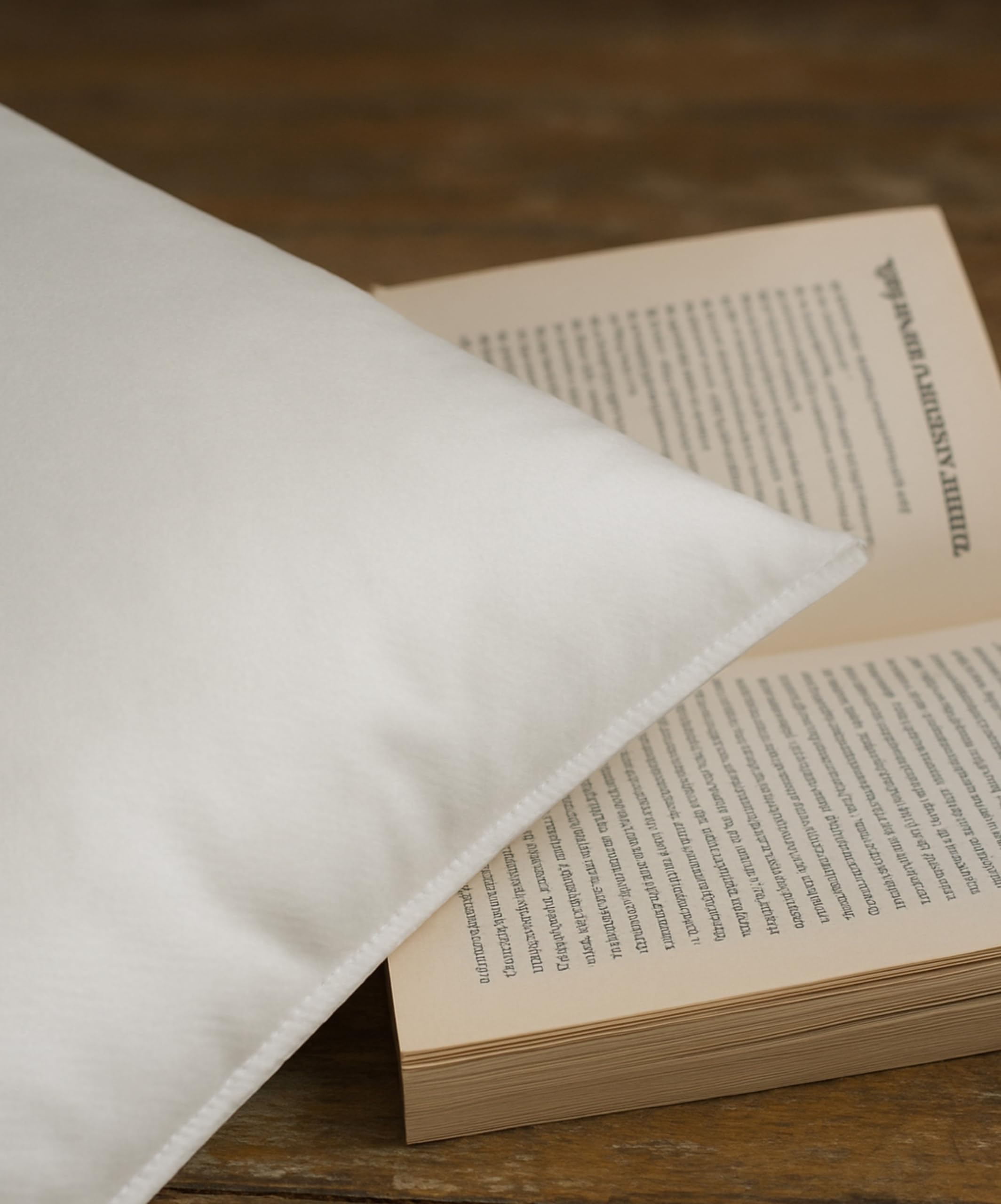 LNT France - Coussins de Garnissage, Ultra Gonflant, Coussin Canapé, Coussin à Recouvrir, Rembourrage Coussins Blanc. (45x45 cm (Lot de 4))