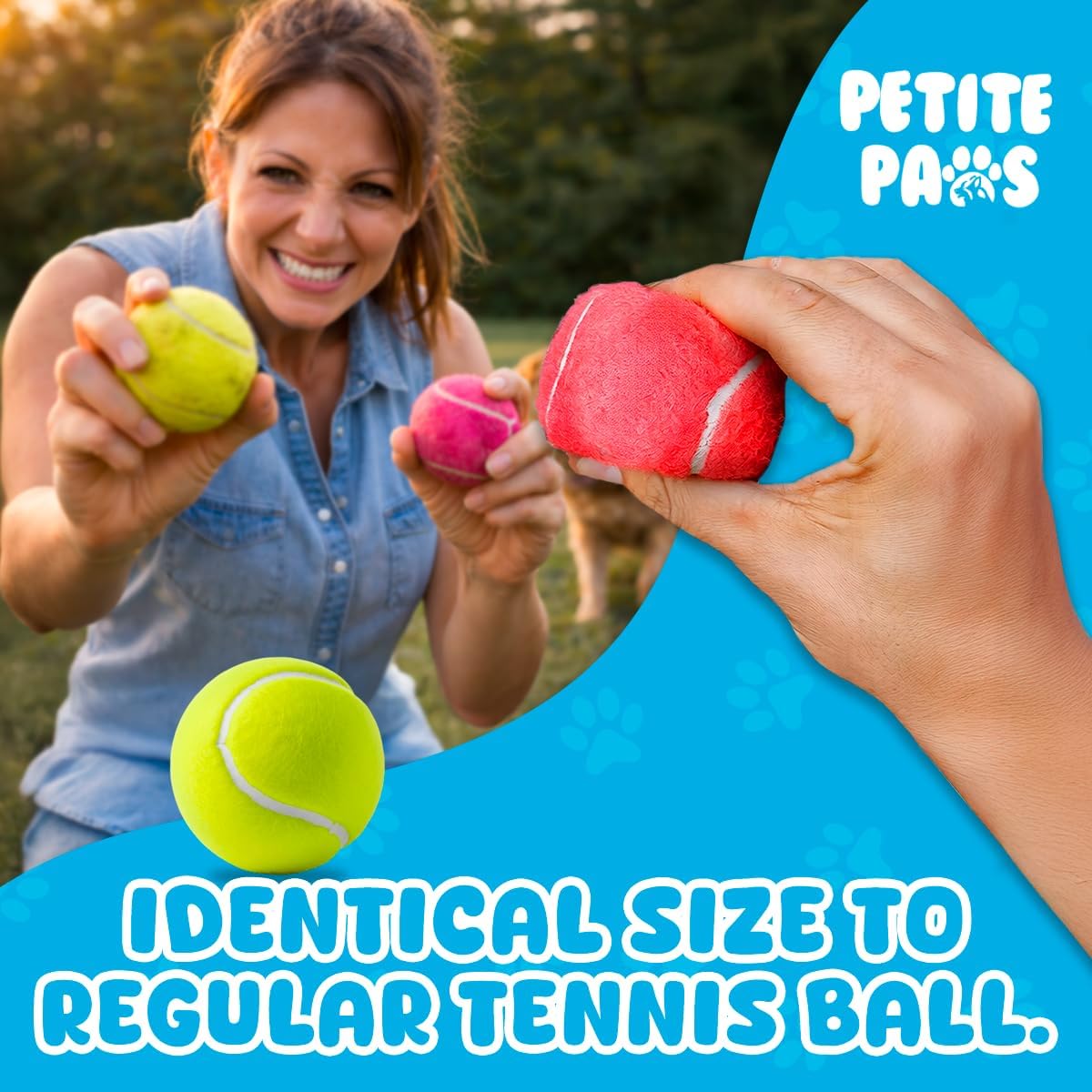 BundleBee Petite Paws Squeaky Tennis Balls for Dogs 2.5 Inch - 12 Pack Dog Toy Balls - Non-Toxic Rubber Squeaky Balls for Medium Large Dogs, Fetch Training Toys, Colorful Bouncy Dog Ball
