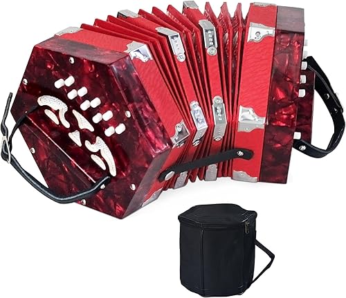 Acordeón profesional de 20 botones para adultos, correa de mano ajustable, accesorios de instrumentos musicales con bolsa de transporte, armónica,