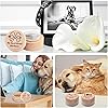 Product Photo 6