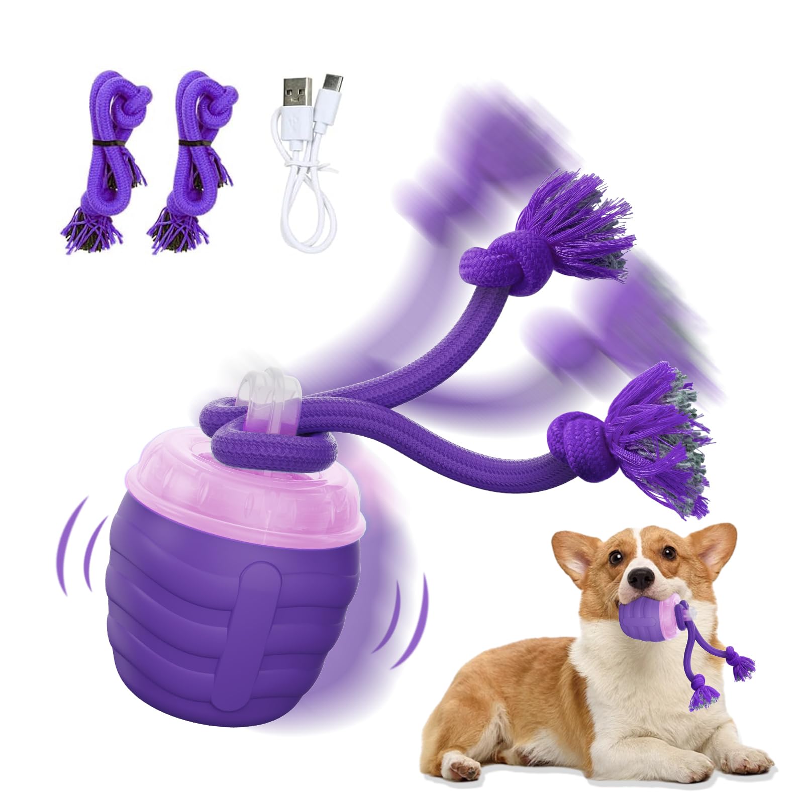 Photo 1 of Huimpet Interactive Dog Toy - Motion Activated Rolling Ball (Purple)