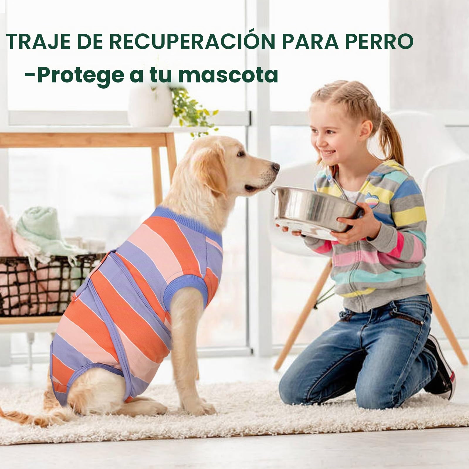 Kuoser Traje de Recuperación para Perros Después de la Cirugía, Camisa Postoperatoria para Mascotas, Protector de Heridas Abdominales para Perros, Traje Quirúrgico Médico para Cachorros, XS-XXL