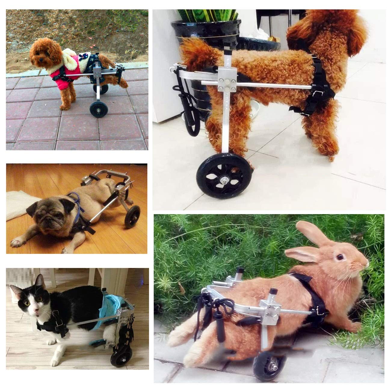 Perro Gato Mascota Anciano Scooter Silla De Ruedas para Perros Extremidad Trasera Carro De La Energía 2 Ruedas Ajustable Animal Discapacitado Rehabilitación Carrito para Perros Grandes, Medianos Y Peq