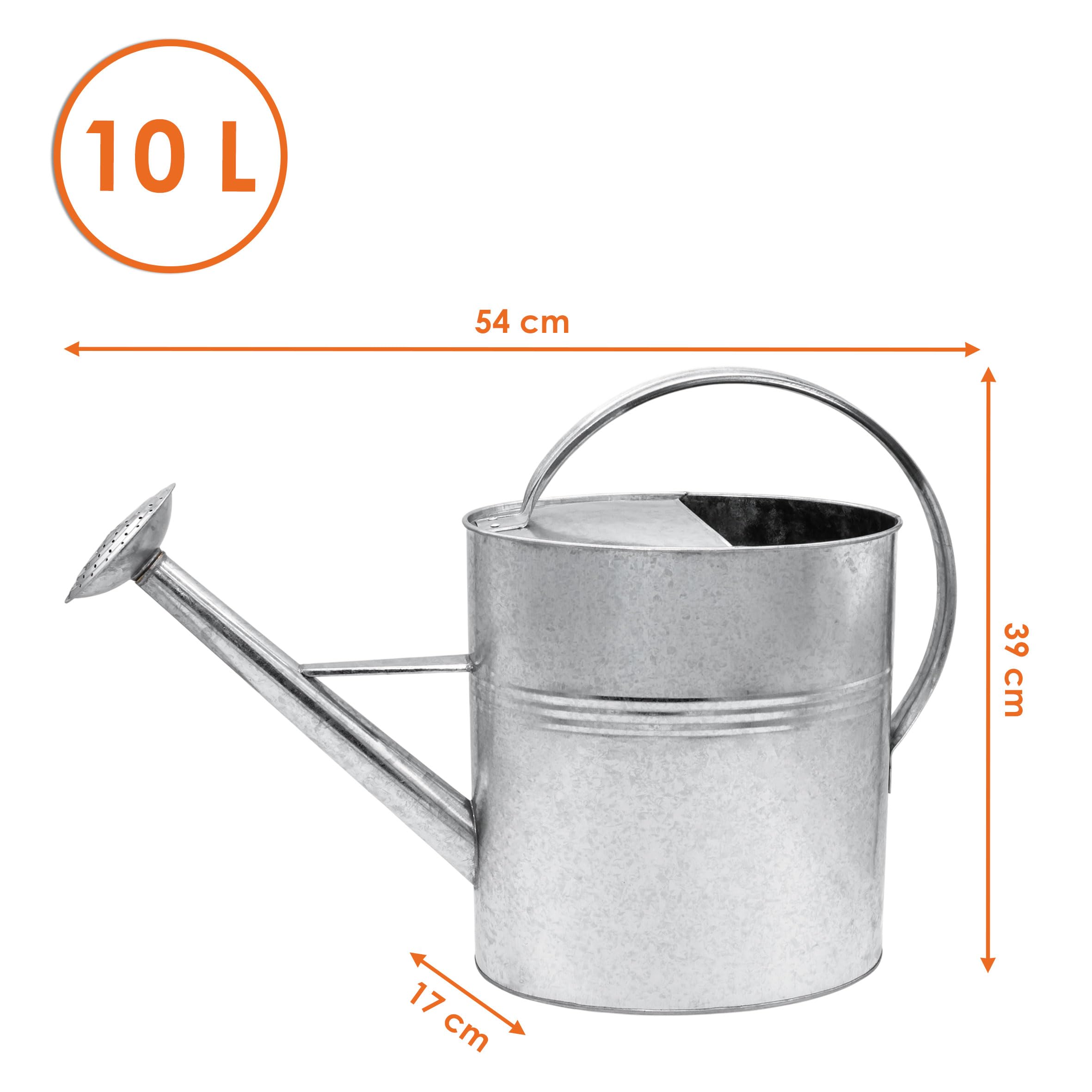 Regadera de jardín galvanizado 10 L, interior y exterior, metal con cabezal de ducha desmontable, zinc nostálgico resistente a las inclemencias del tiempo