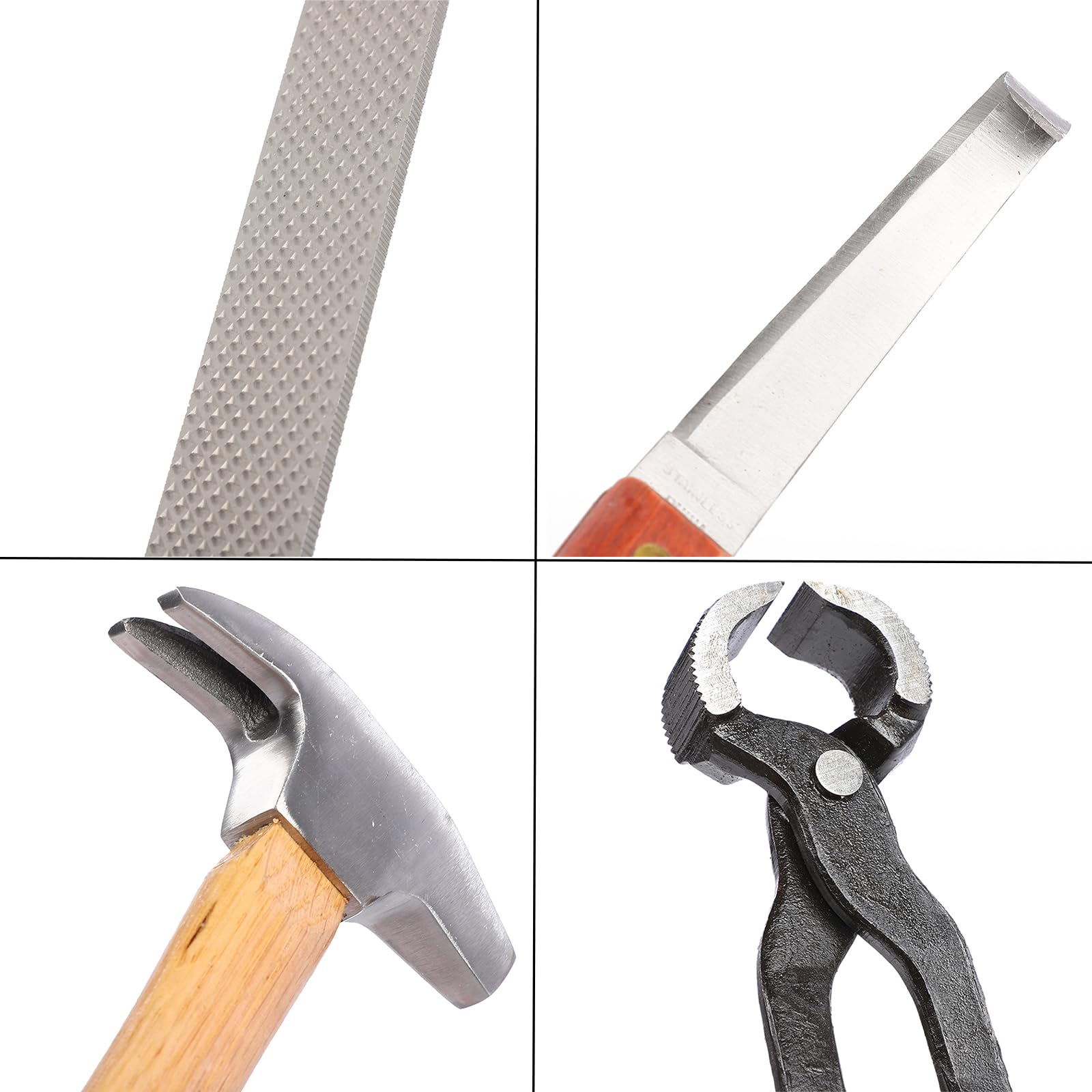 Zoccolo Del Cavallo E Del Ferro Di Cavallo Dopo La Calzatura Nella Stalla Image74501073