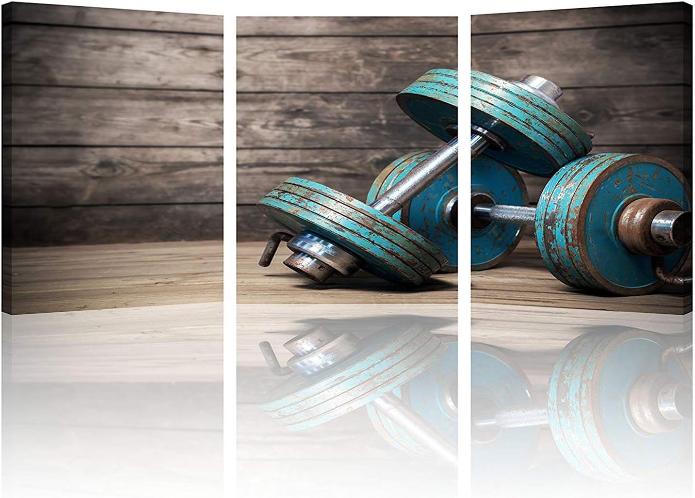 Sports Themed Canvas Print Vintage Dumbbells Painting Set of 3 Photo Panels Fitness Bodybuilding Wall Art Giclee Gym Wall Poster Ready to Hang