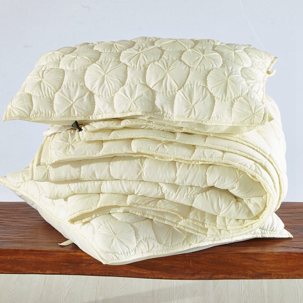 Calla Angel Dream Waltz Luxury Pure Cotton Voile Quilt, King, Ivory