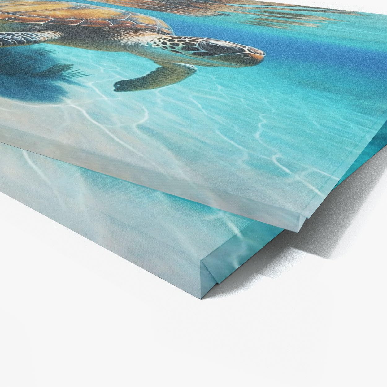Amazon.com: Sense Canvas Turtle Realistic Sea 7 Canvas Art - Home