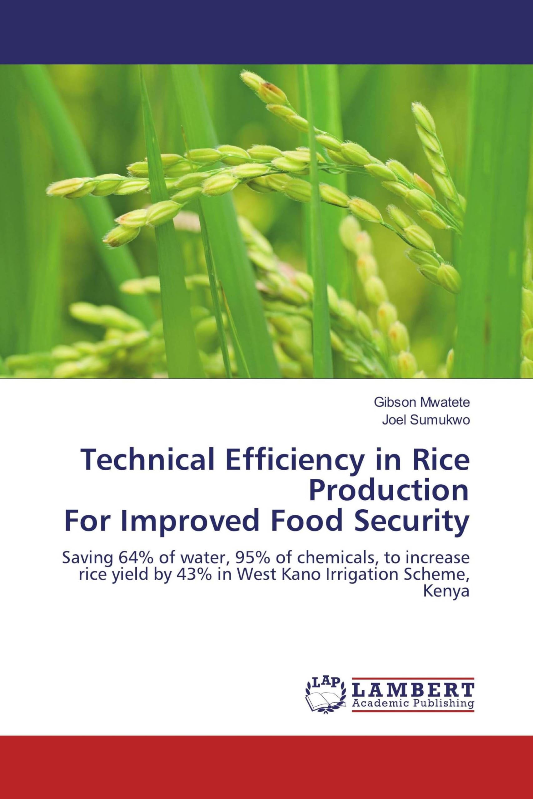 Technical Efficiency in Rice ProductionFor Improved Food Security: Saving 64% of water, 95% of chemicals, to increase rice yield by 43% in West Kano Irrigation Scheme, Kenya