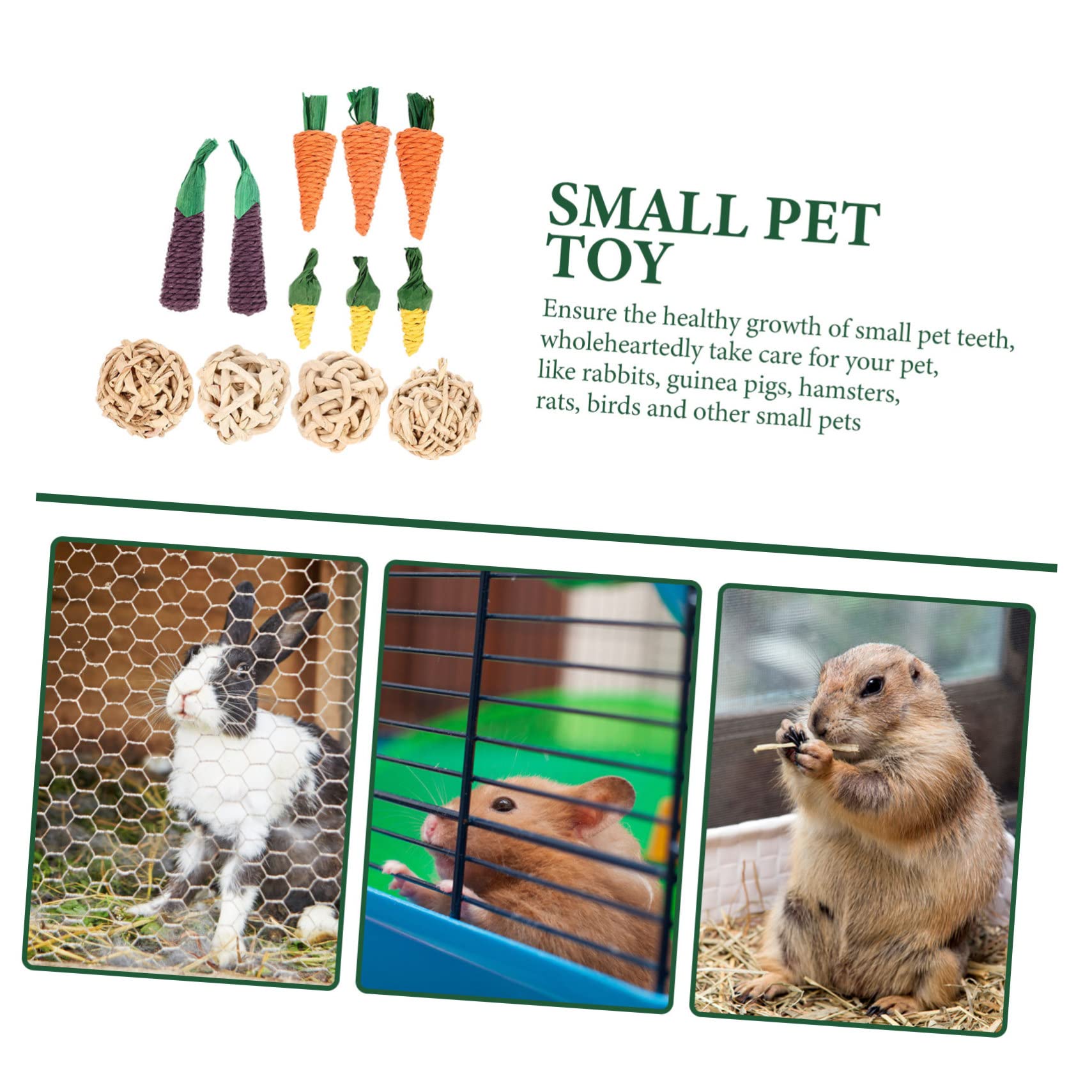 BESPORTBLE 3 Zestawy Świnek Morskich Gryzaki Drewniane Trzonowce Małe Zabawki Dla Zwierząt Do Żucia Zabawki Dla Chomików Króliczek Trzonowiec Zabawka 12 Szt.*3