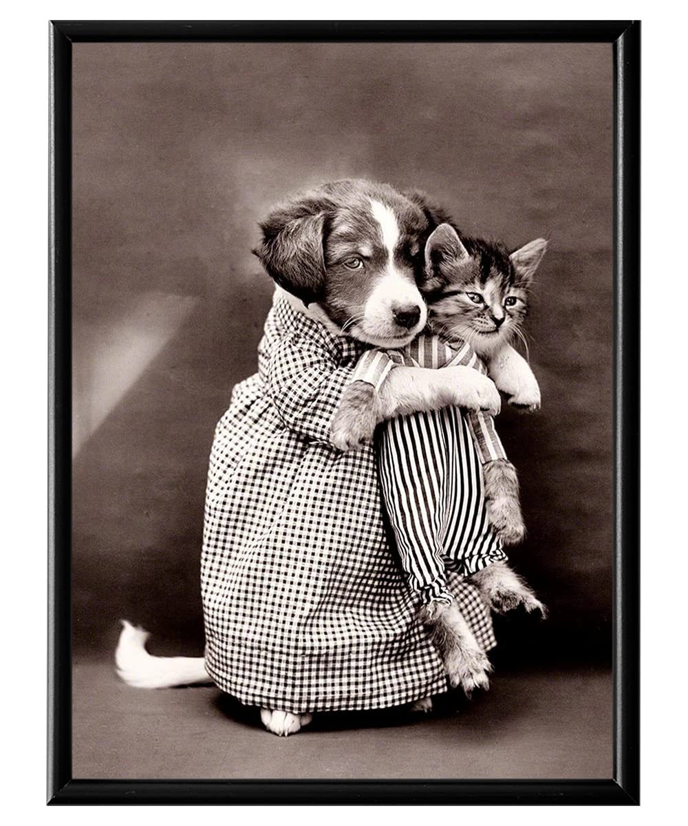 Funny Dog and Cat Pictures - Cat Wall Decor - Kitty Art - Animal Pictures Wall Art - Black White Dogs Cats Photo - Vintage Ridiculous Humor Bathroom Decor, Funny Gifts for Dog Cat Lovers Office Poster
