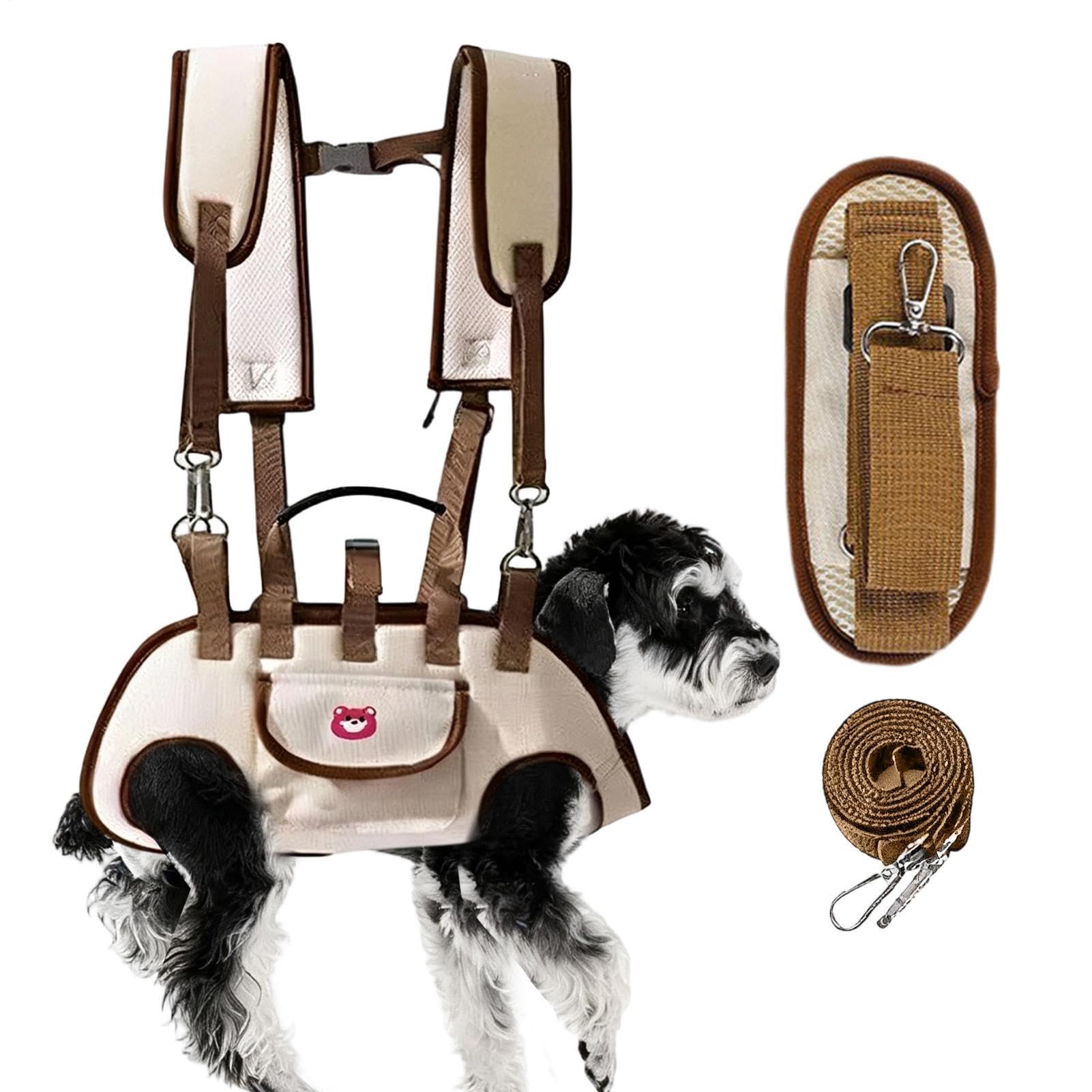 Mochila para mascotas pequeñas y medianas: transportador regulable para viaje y camping