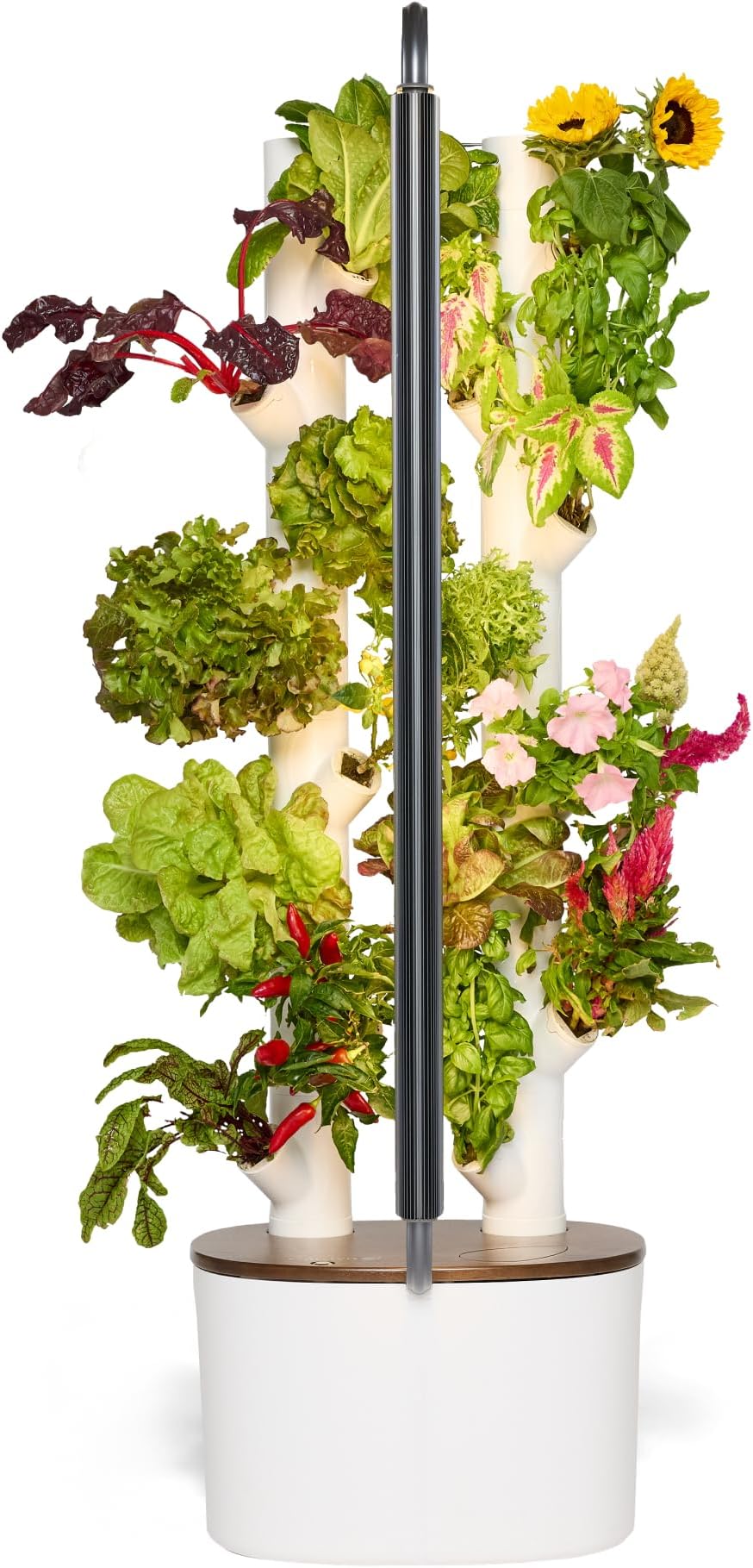 Gardyn Studio Hydroponics Growing System Kit & Vertical Indoor Garden Planter - Smart Herb Garden - Includes 16 Non-GMO Indoor Plants, Herbs, Vegetables & LED Grow Light - Gifts for Dad