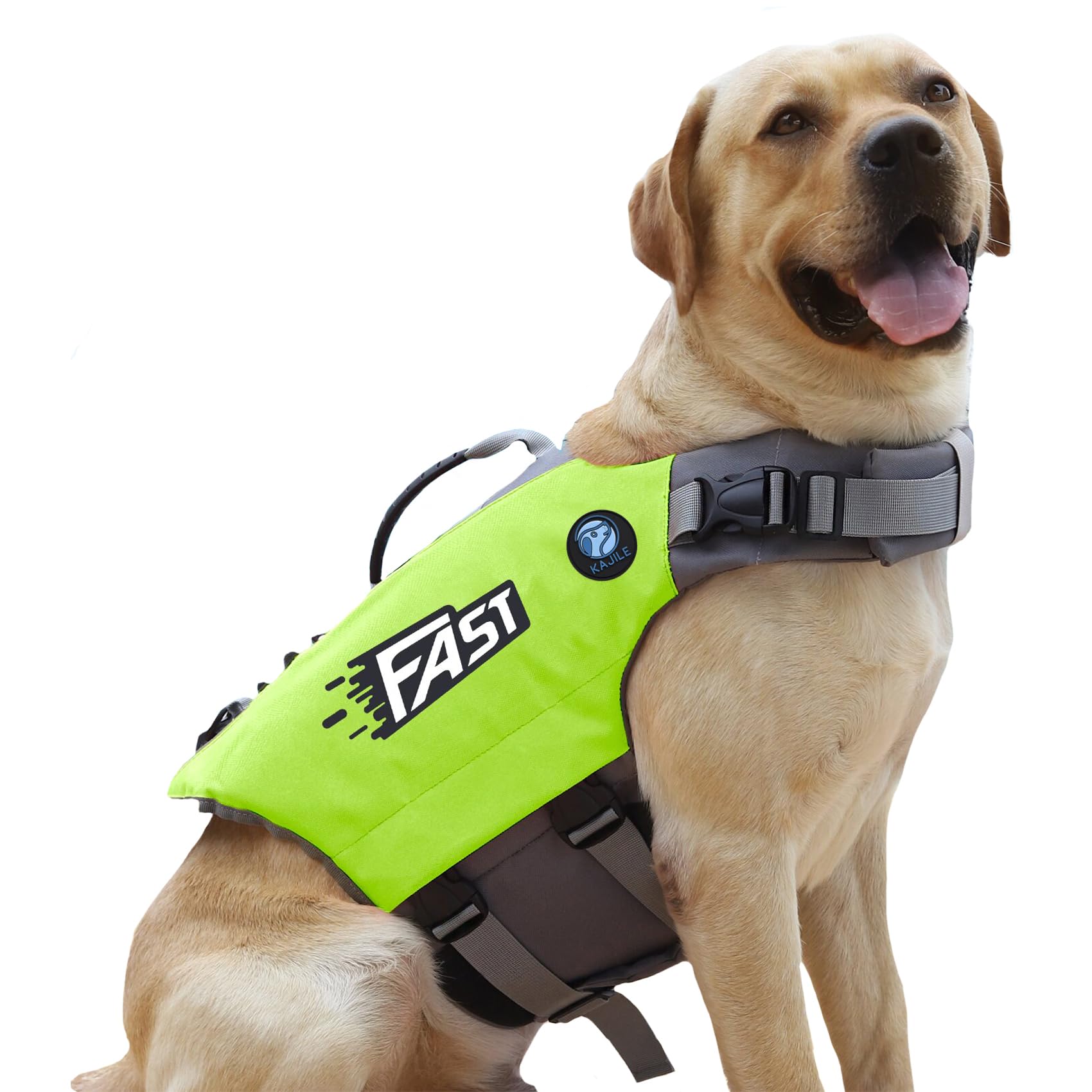 Chaleco Salvavidas Deportivo para Perros Bright Colors,Traje de Baño para Perro,Chaleco Flotante Ajustable con Asa de Rescate para Perros Pequeños,Medianos y Grandes,Verde,XL