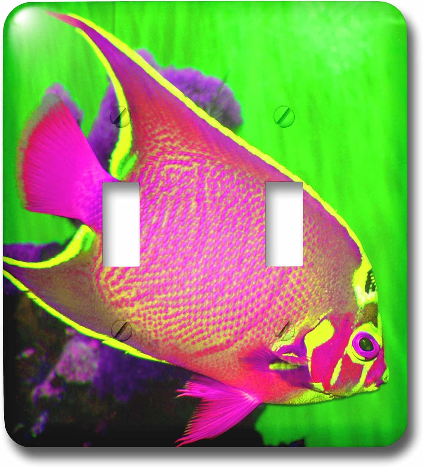 3dRose lsp_194378_2 Neon Fish Light Switch Cover