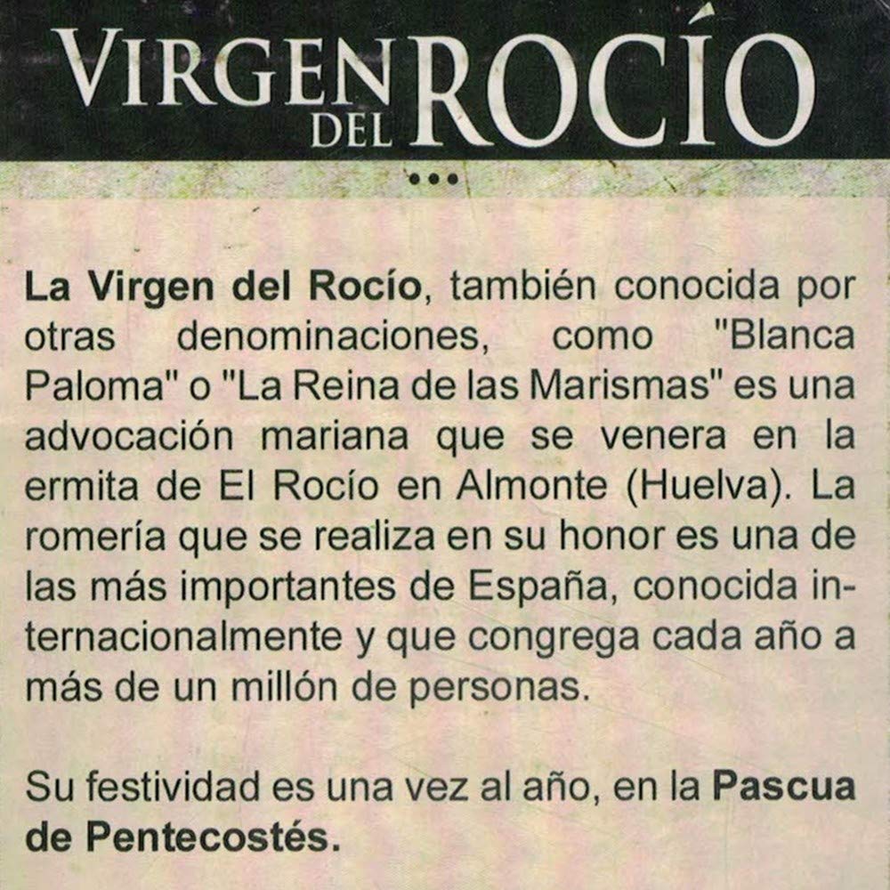 Virgen Rocío Figura 25 cm. Blanca Paloma Reina de Las Marismas patrona Almonte Imagen Resina peana