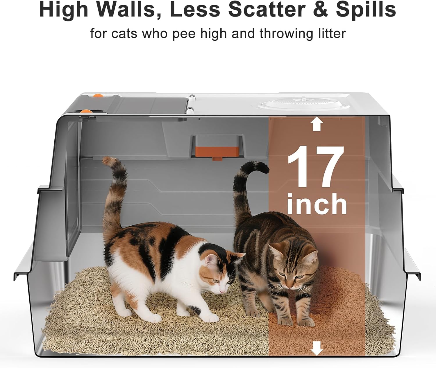 https://m.media-amazon.com/images/I/7102EcO4FsL._AC_SL1500_.jpg