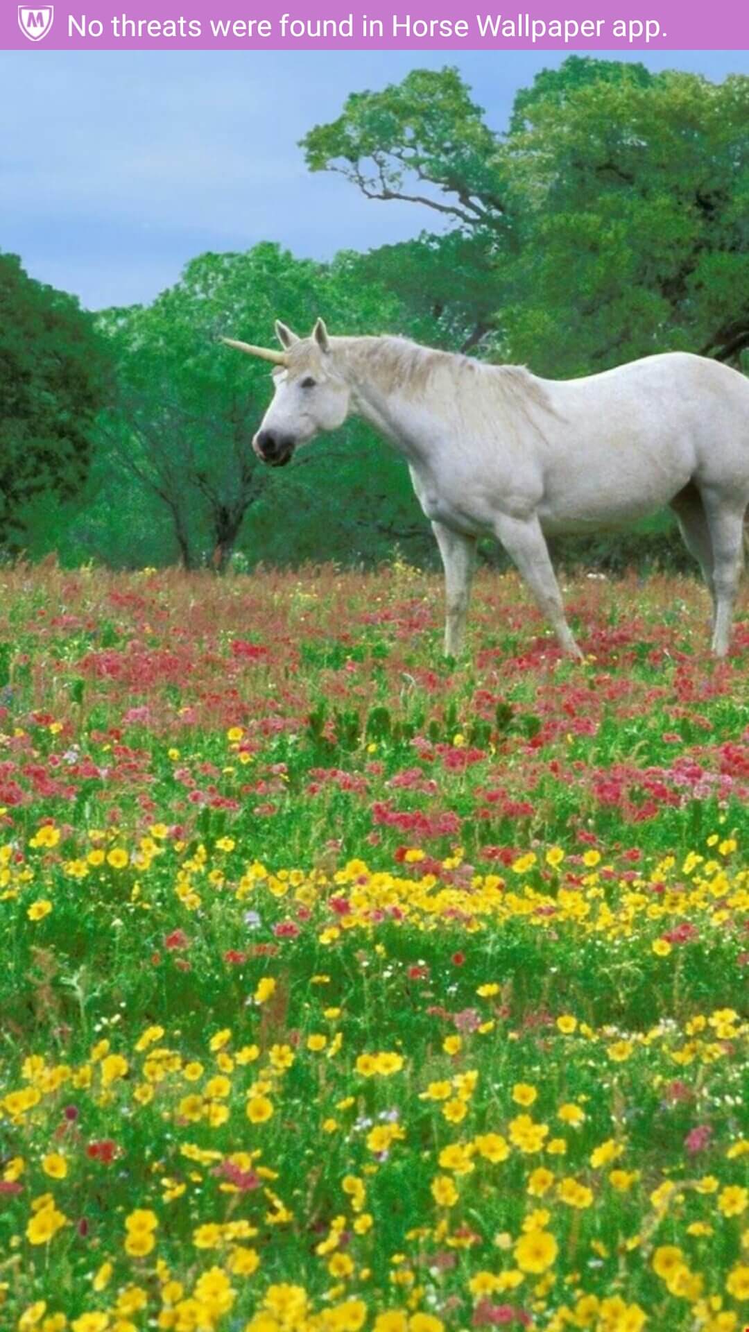 Horse WallpaperAmazon.co.ukAppstore for Android