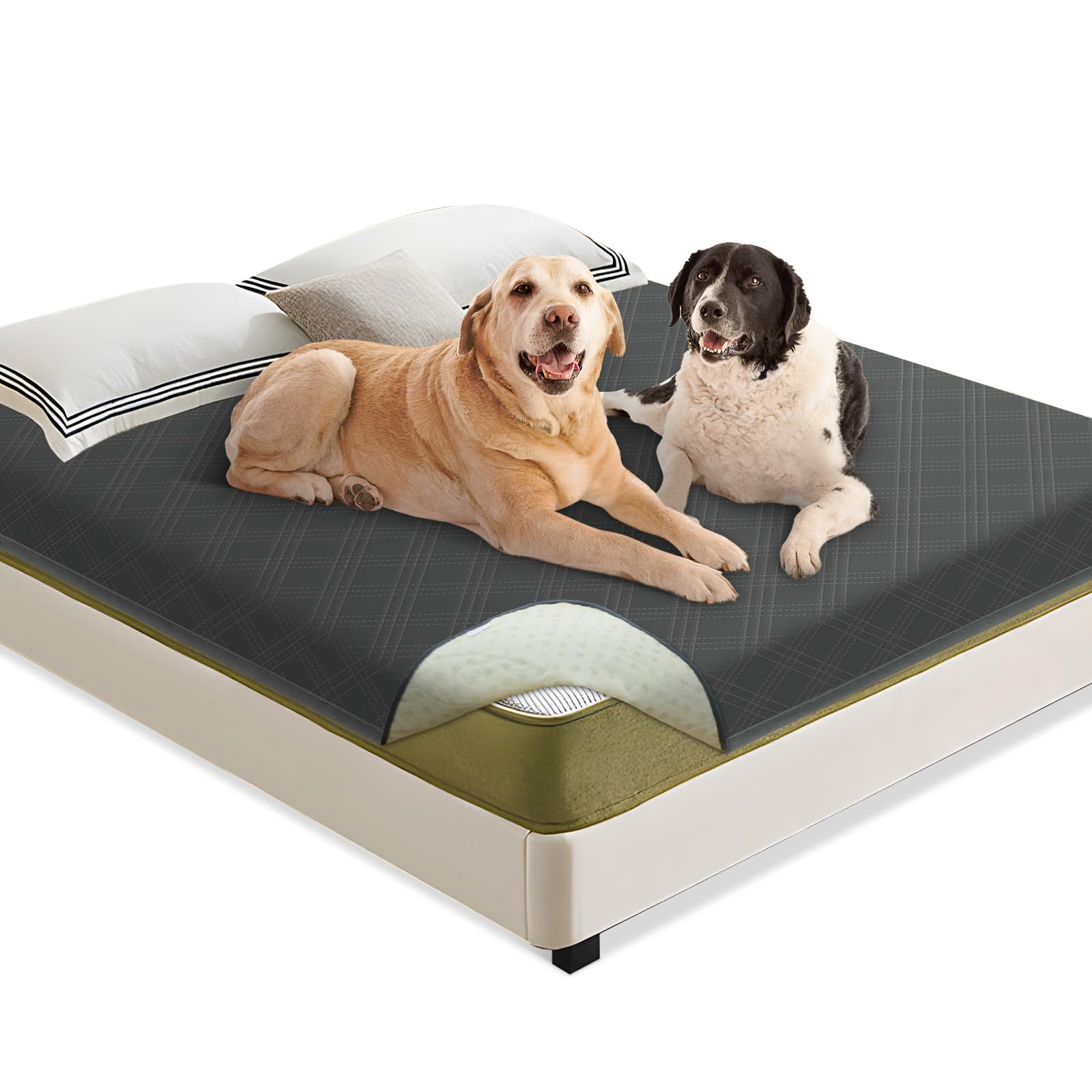 Coperta Impermeabile Per Cani Mocobo 205x130cm - Antiscivolo, Lavabile, Per Divano E Letto - Foto 5