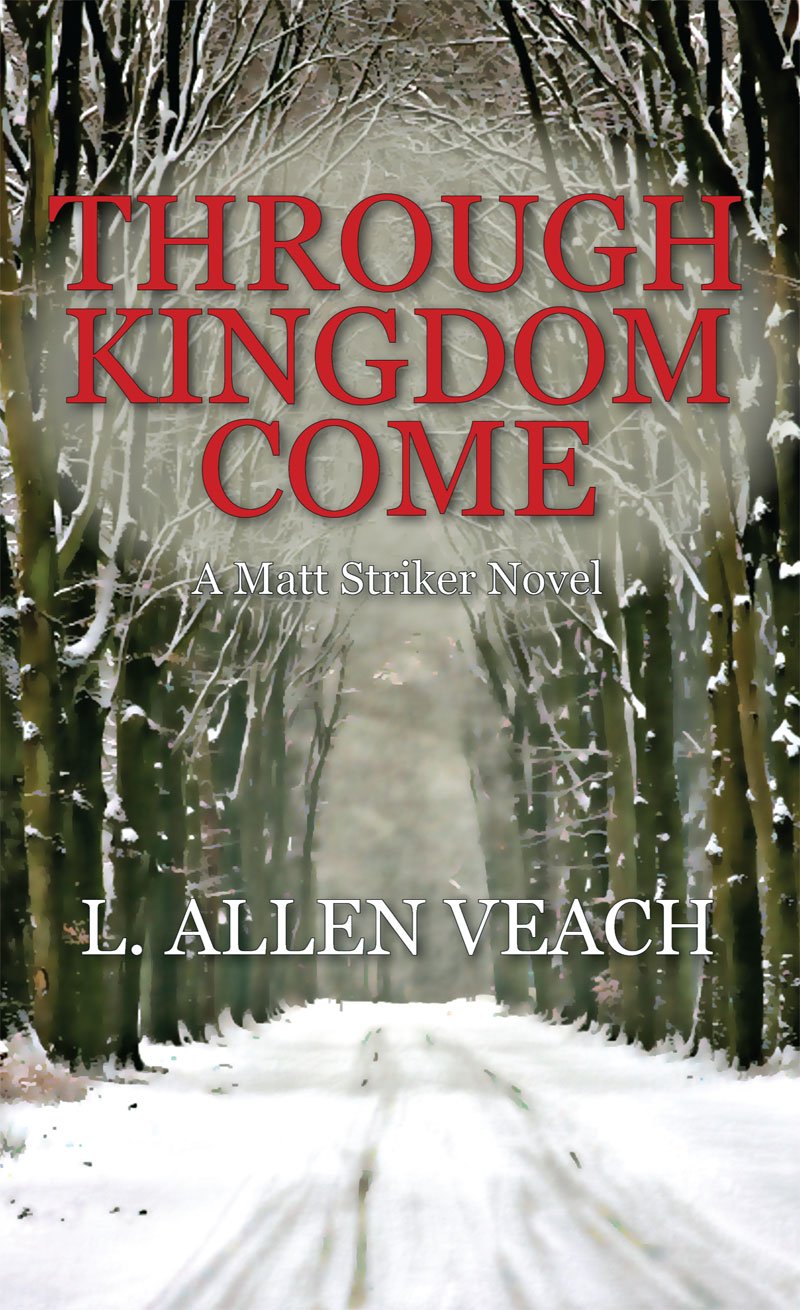Through Kingdom Come: A Matt Striker Novel